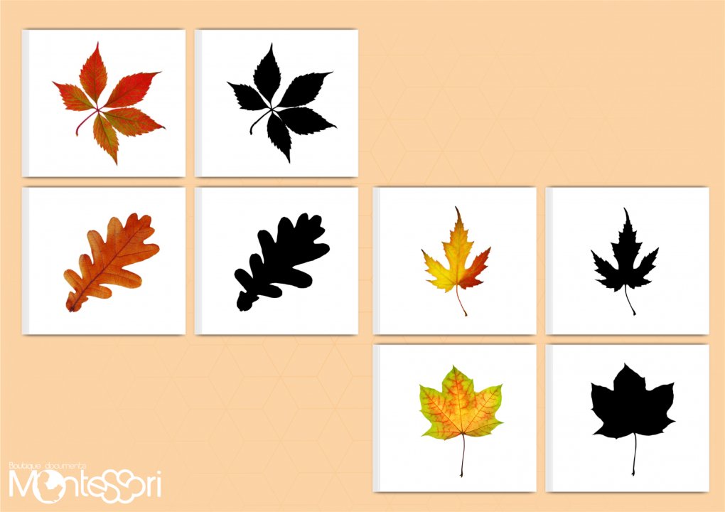 loto des feuilles d'automne apprentissage des couleurs