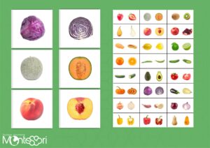 Les fruits & les légumes