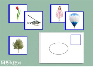 Cartes adjectifs