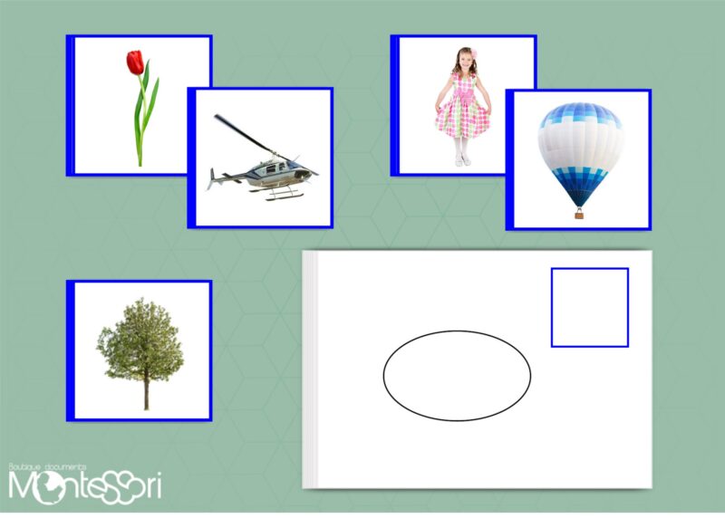 Cartes adjectifs