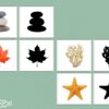 Cartes ombres - nature & coquillages
