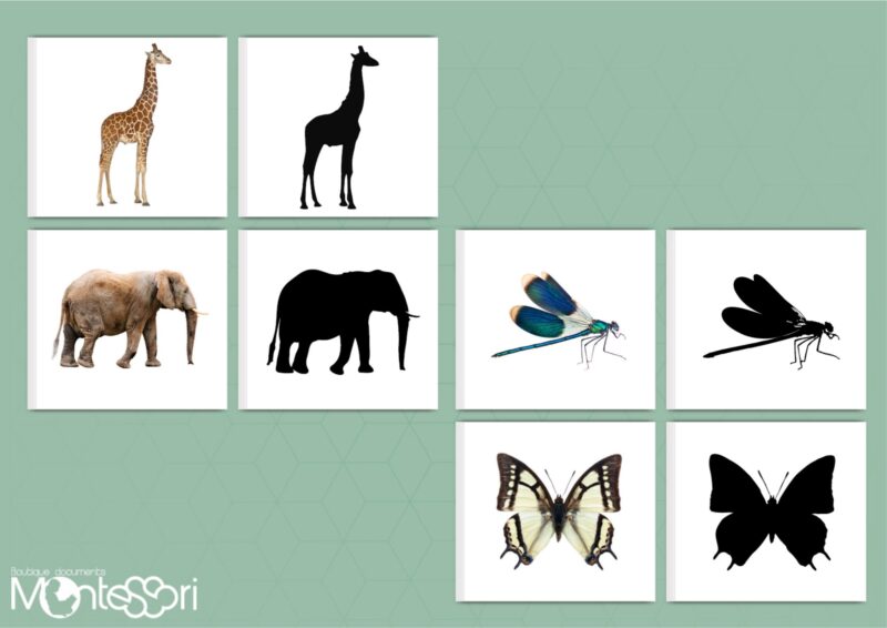Cartes ombres - Animaux & insectes