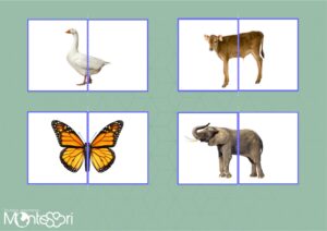 Puzzles animaux
