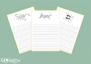 Rédaction de textes - arthropodes