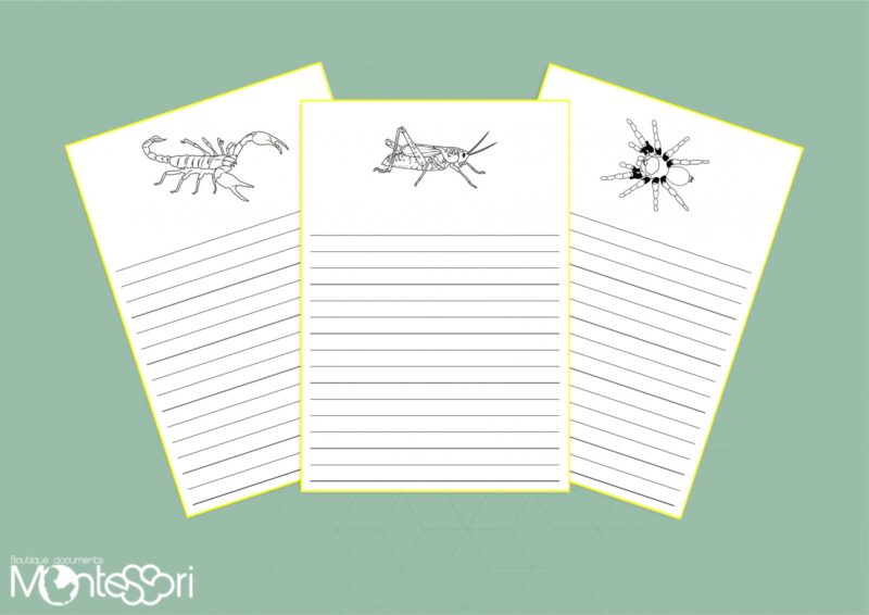 Rédaction de textes - arthropodes