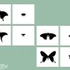 Initiation à la loupe papillon ombre & jeu de mémoire