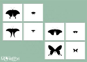 Initiation à la loupe papillon ombre & jeu de mémoire