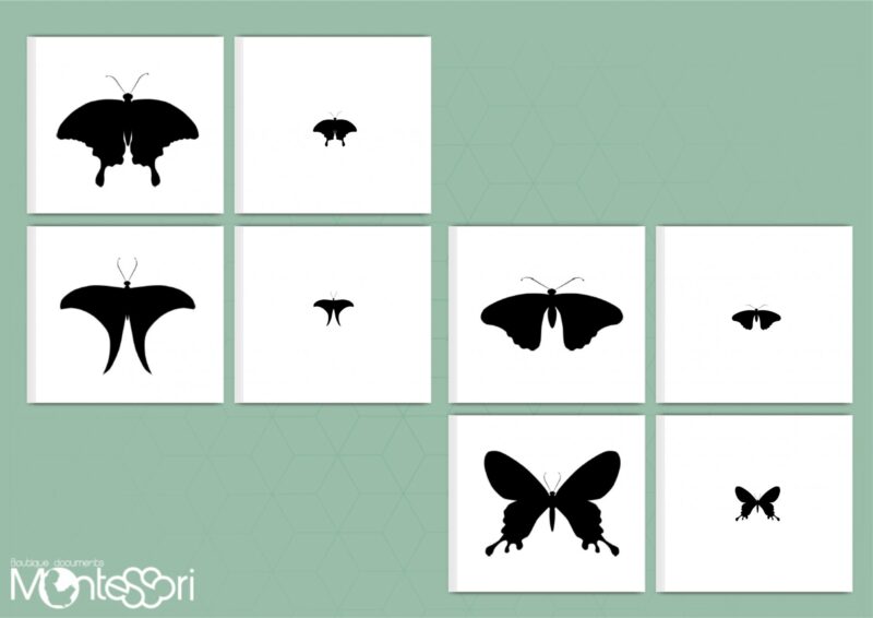Initiation à la loupe papillon ombre & jeu de mémoire
