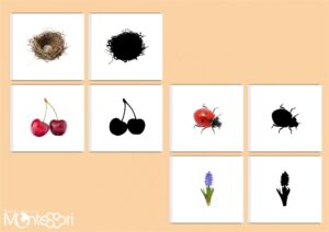 Cartes ombre printemps