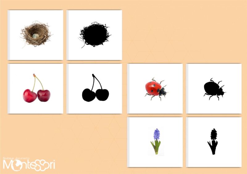 Cartes ombre printemps