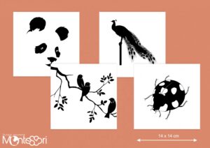 Images contrastées animaux