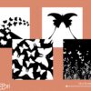 Images contrastées papillons