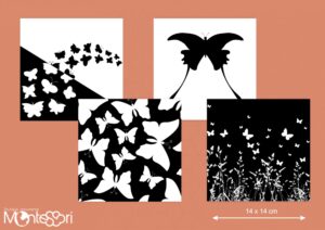 Images contrastées papillons