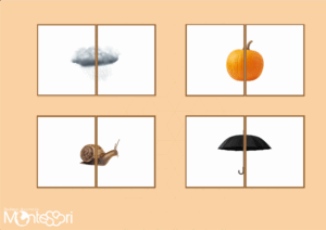 Puzzles automne