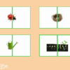 Puzzles printemps