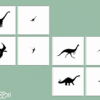 Initiation à la loupe dinosaures ombre & jeu de mémoire
