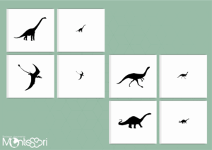 Initiation à la loupe dinosaures ombre & jeu de mémoire