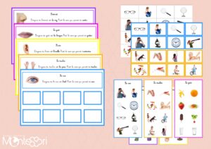 Planches de jeux 5 sens