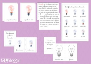 Différentes parties de l'ampoule