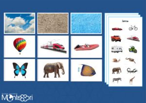 Cartes air, terre & mer