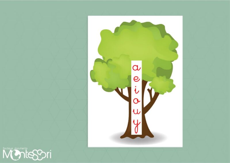 Arbre & voyelles a, e, i, o, u, y