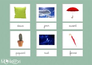Les mots qui s'opposent
