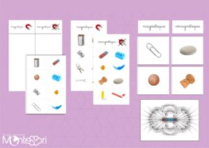 Magnétique & amagnétique