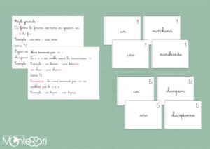 Formation du féminin