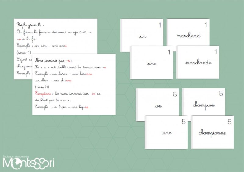 Formation du féminin
