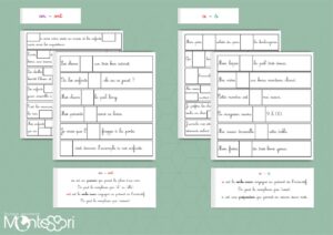 Homophones - phrases à trous