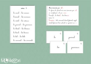 Formation du pluriel