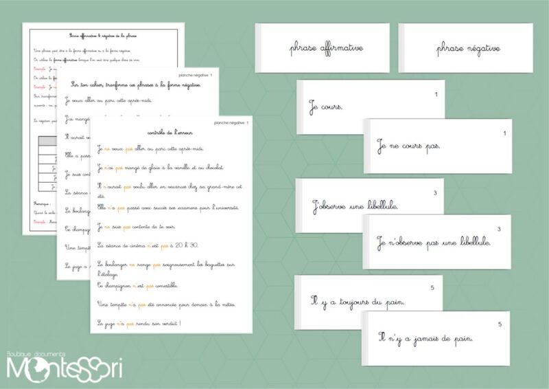 Forme affirmative & négative de la phrase