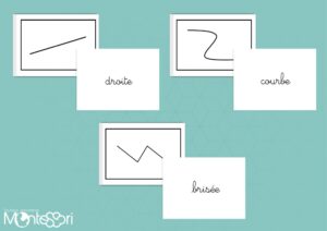 Lignes droites, courbes, brisées