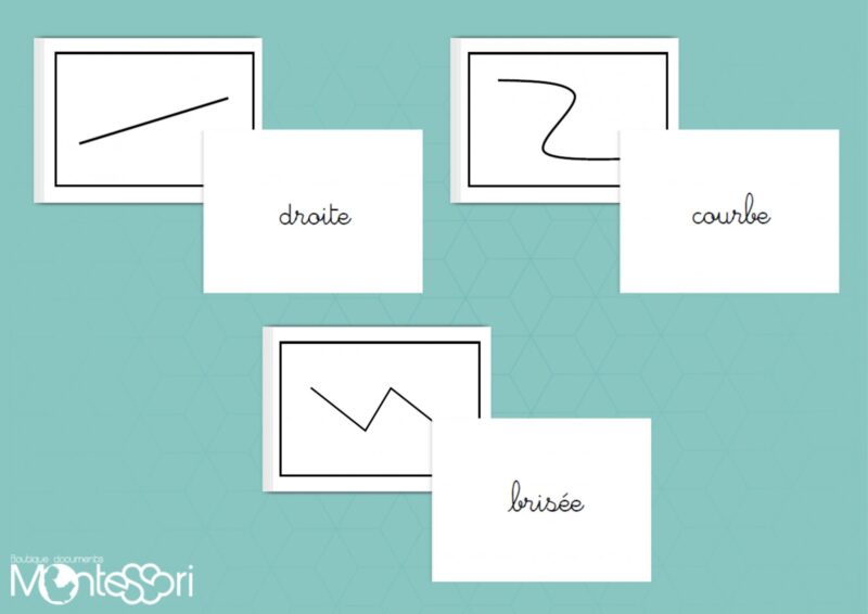 Lignes droites, courbes, brisées