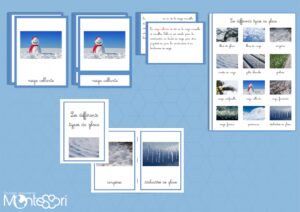 Les différents types de glace