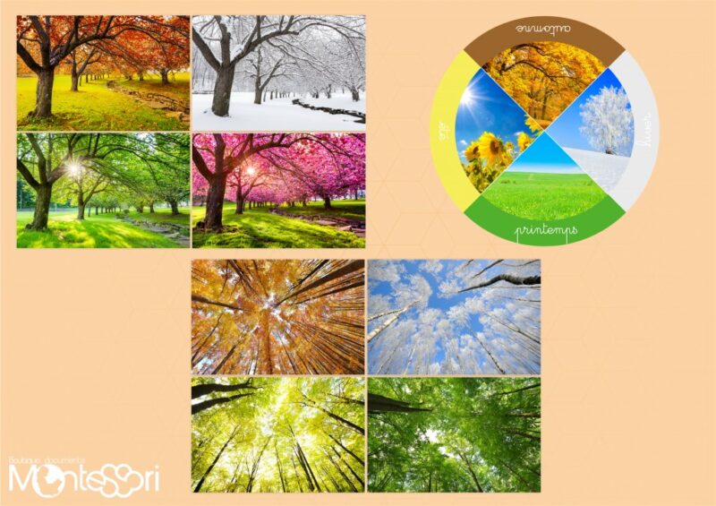 La roue des saisons