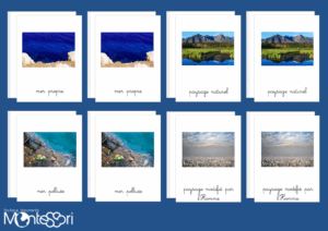 Cartes de nomenclature écologie