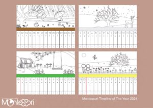 Timeline coloring 2025