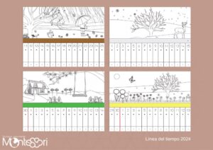 Línea del tiempo Montessori para colorear 2025