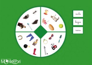 Jeu roues des mots verts