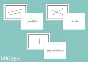 Lignes parallèles, sécantes, perpendiculaires