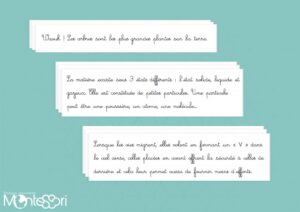 Textes de ponctuation à recopier - CE1