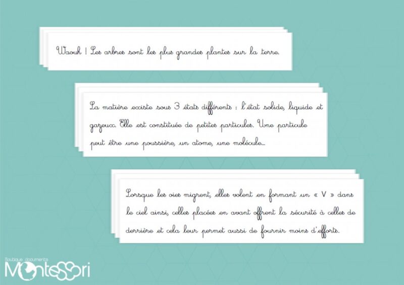 Textes de ponctuation à recopier - CE1