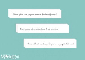 Textes de ponctuation à recopier - CP - Script