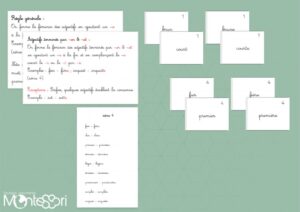 Formation du féminin - adjectifs