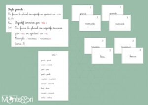 Formation du pluriel - adjectifs