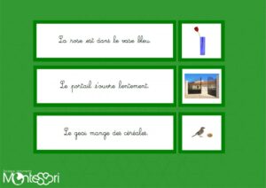 Compréhension de phrases - série verte