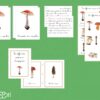 Différentes espèces de champignons