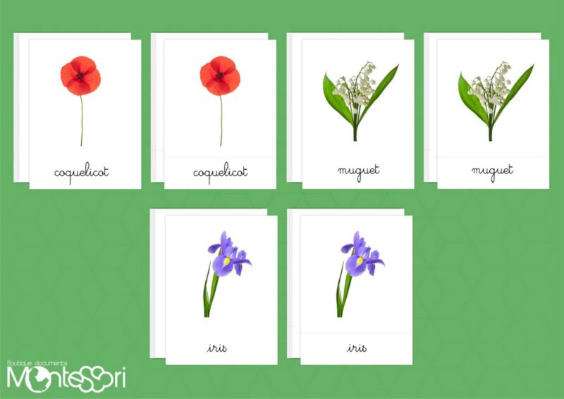 Images classifiées fleurs