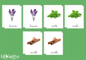 Herbes aromatiques & épices
